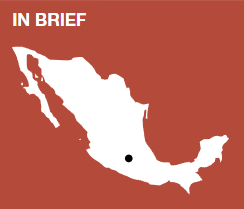 全球遗产保护更新案例集 ③︱砖瓦重生城市重构:墨西哥城政商巨轮重塑世界遗产;阿姆斯特丹蚂蚁雄兵修复运河